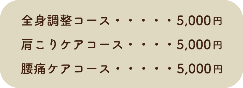 全身調整コース:5,000円、肩こりケアコース:5,000円、腰痛ケアコース:5,000円