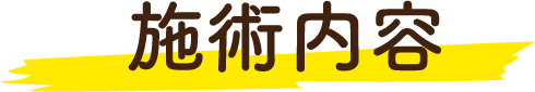 施術内容